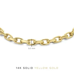 Isabel Bernard Aidee Camille 14 karaat gouden schakelarmband Best Sale