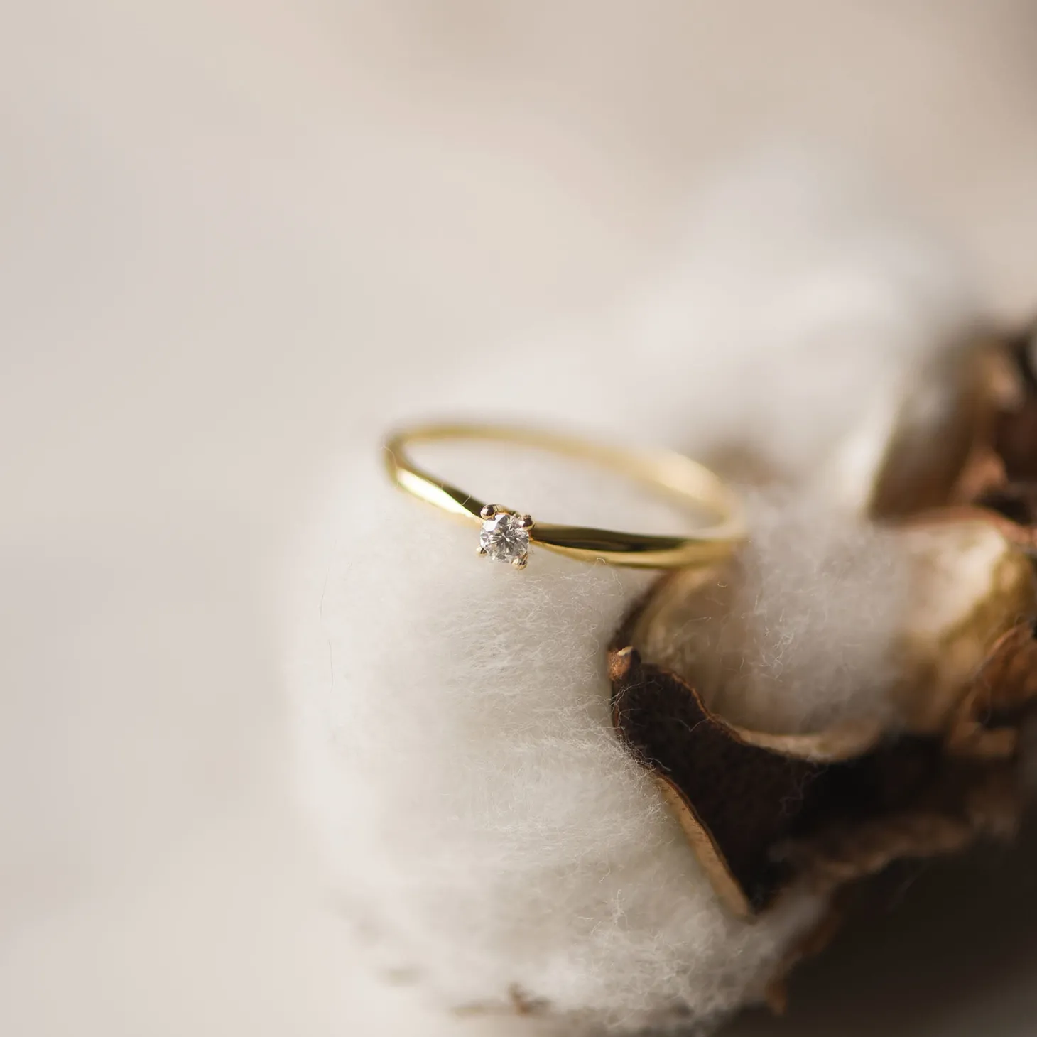 Isabel Bernard De la Paix Céline 14 karaat gouden ring met diamant 0.05 karaat Best