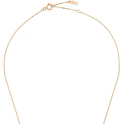 Isabel Bernard La Concorde Amore 14 karaat rosé gouden collier met hartje Shop