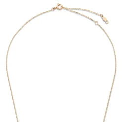 Isabel Bernard La Concorde Nicole 14 karaat rosé gouden collier New