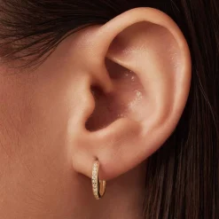 Isabel Bernard Le Marais Merle 14 karaat gouden creolen met zirkonia (10 mm) Cheap